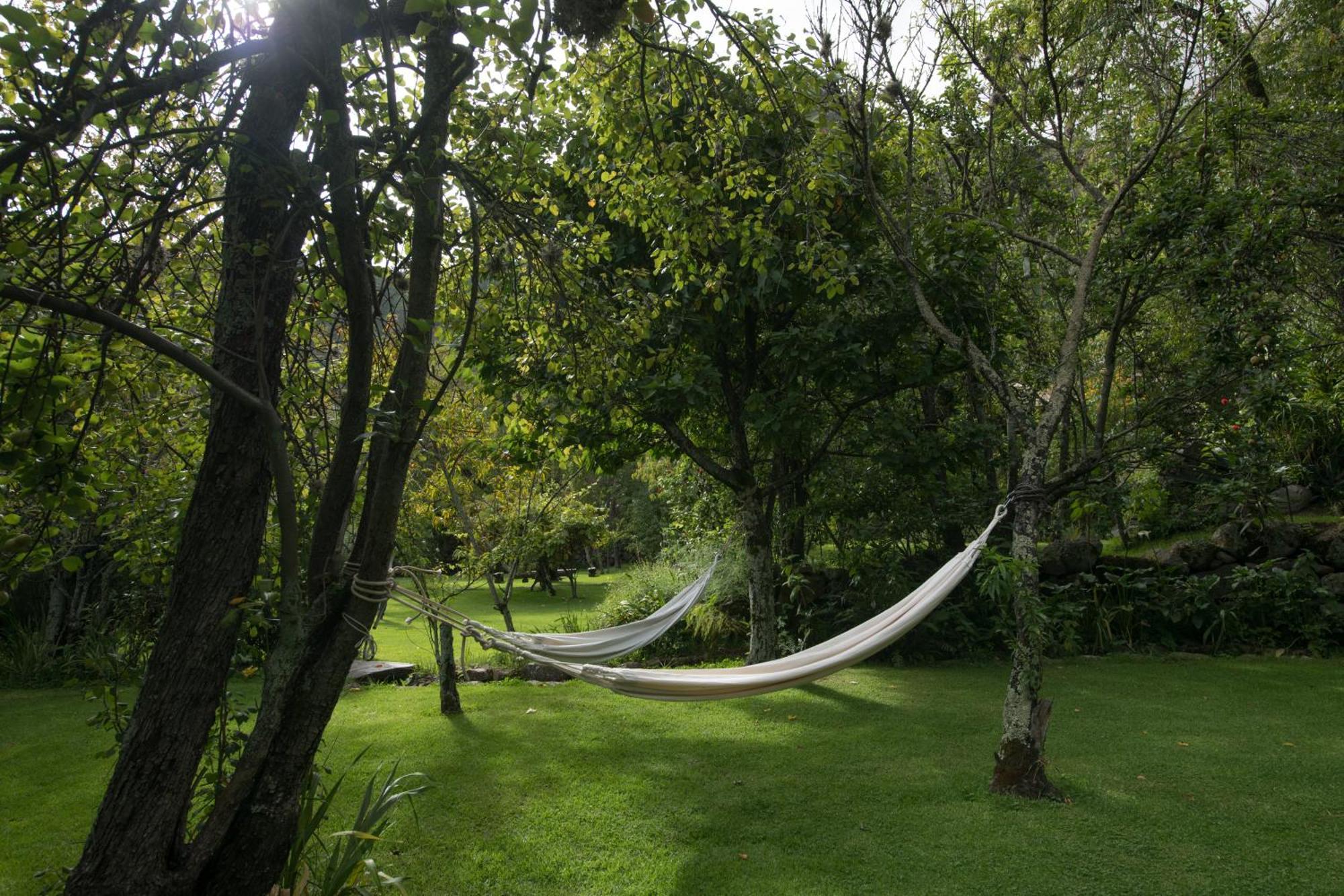 Andenia Boutique Hotel, Sacred Valley 우루밤바 외부 사진
