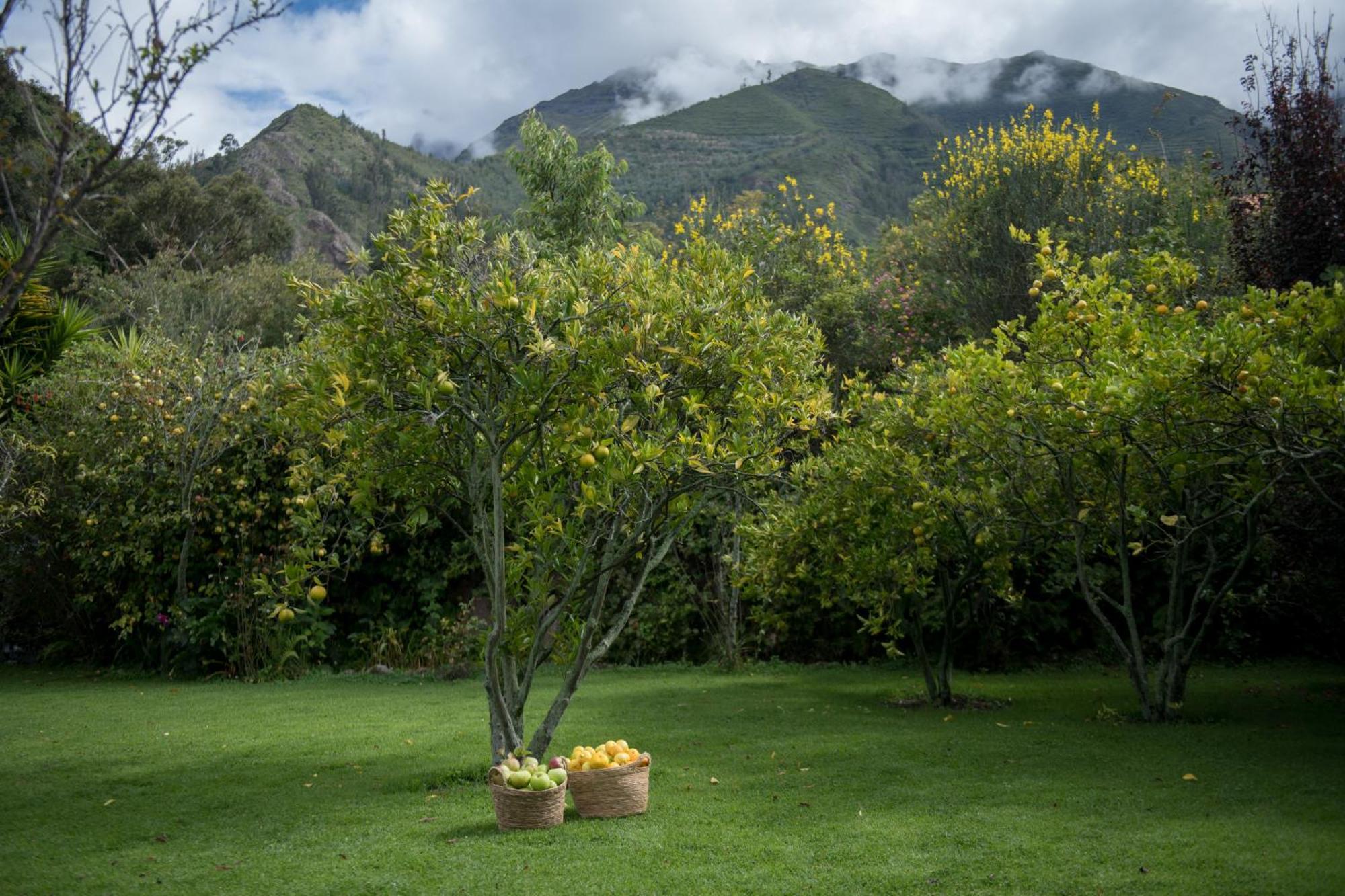 Andenia Boutique Hotel, Sacred Valley 우루밤바 외부 사진